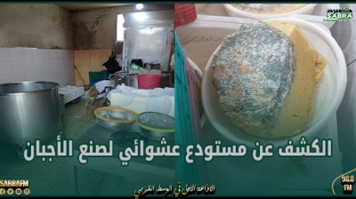 بنزرت: الكشف عن مستودع عشوائي لصنع الأجبان