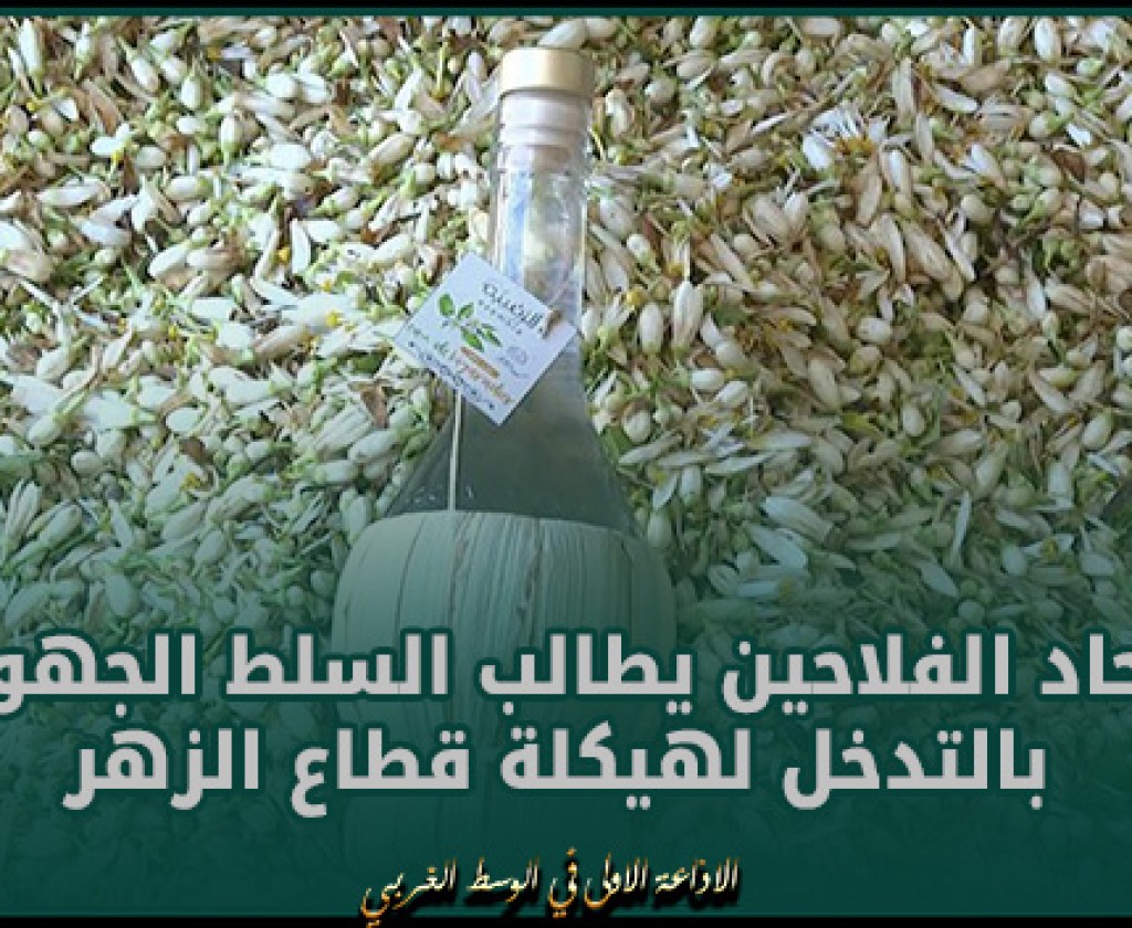 بوعرقوب: اتحاد الفلاحين يطالب السلط الجهوية بالتدخل لهيكلة قطاع الزهر