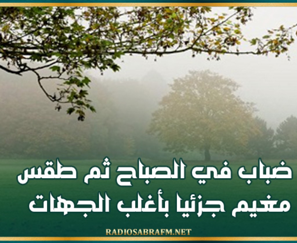 ضباب في الصباح ثم طقس مغيم جزئيا بأغلب الجهات
