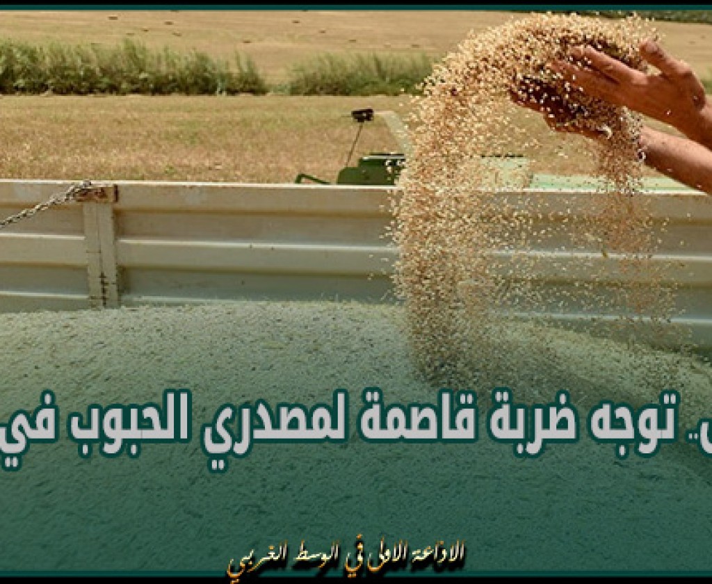 بريكس.. توجه ضربة قاصمة لمصدري الحبوب في الغرب