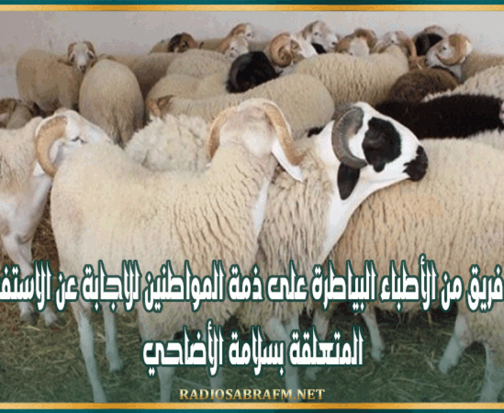 وضع فريق من الأطباء البياطرة على ذمة المواطنين للاجابة عن الاستفسارات المتعلقة بسلامة الأضاحي