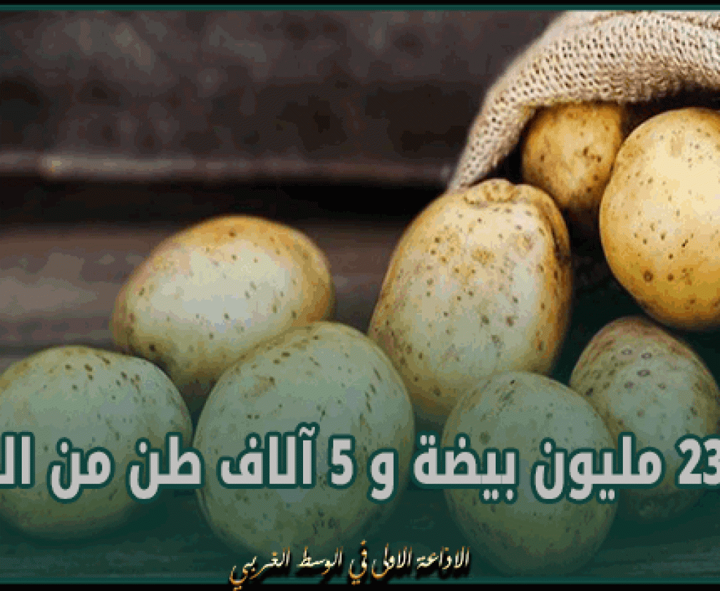 استعدادا لشهر رمضان ..تخزين 23 مليون بيضة و 5 آلاف طن من البطاطا