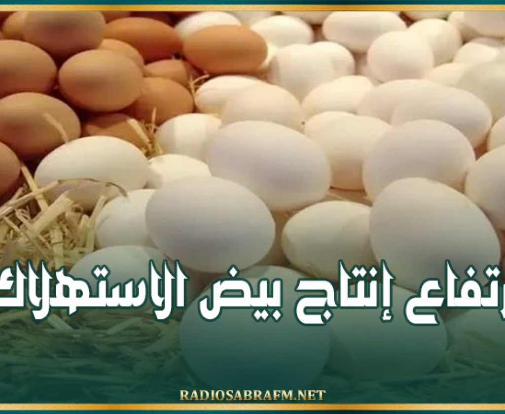 ارتفاع إنتاج بيض الاستهلاك