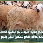 أضاحي العيد: دعوة مربّي الماشية للحصول على بطاقة الفلاح لتسهيل التنقل والبيع