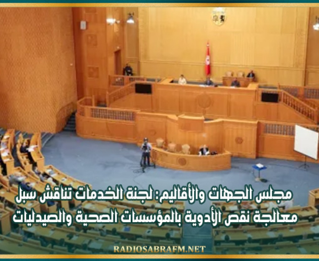 مجلس الجهات والأقاليم: لجنة الخدمات تناقش سبل معالجة نقص الأدوية بالمؤسسات الصحية والصيدليات