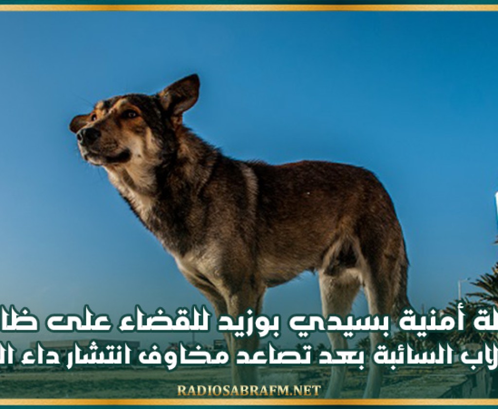 حملة أمنية بسيدي بوزيد للقضاء على ظاهرة الكلاب السائبة بعد تصاعد مخاوف انتشار داء الكلب