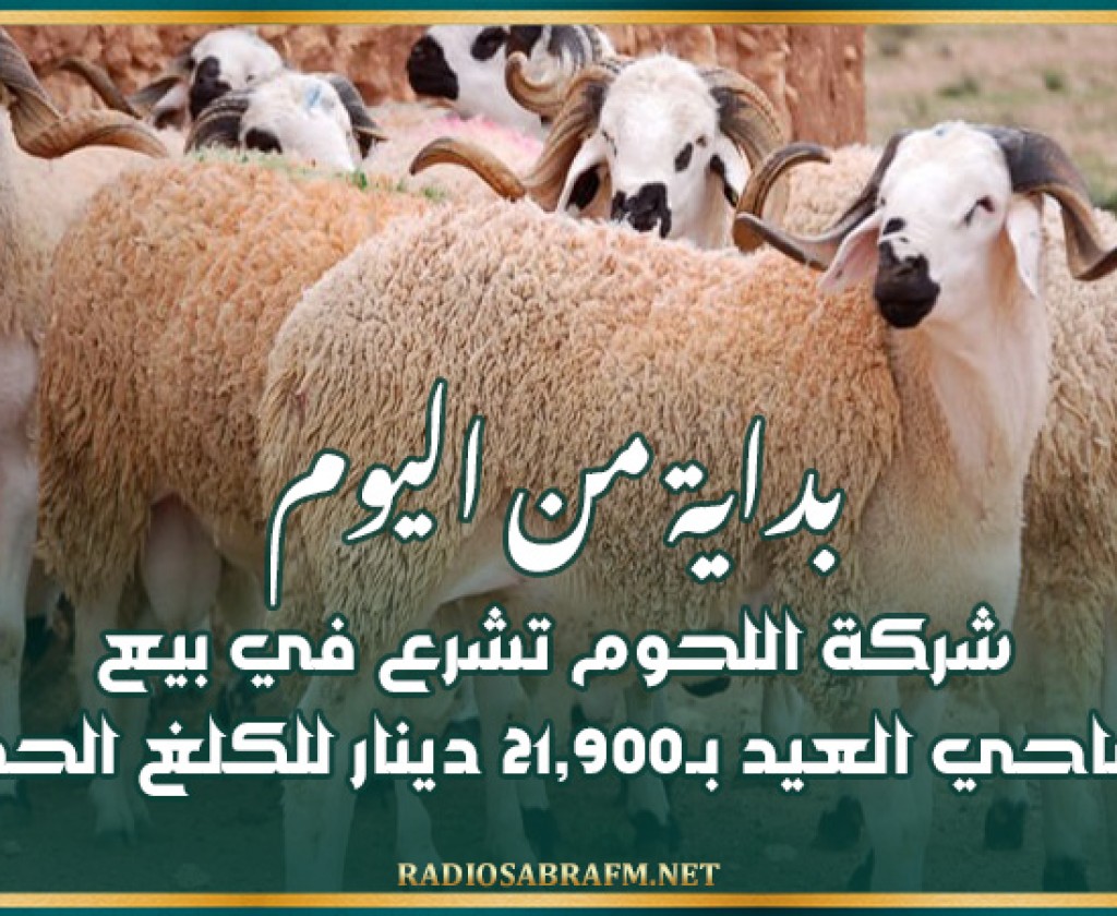بداية من اليوم: شركة اللحوم تشرع في بيع أضاحي العيد بـ21,900 دينار للكلغ الحي