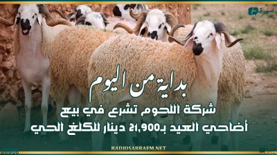 بداية من اليوم: شركة اللحوم تشرع في بيع أضاحي العيد بـ21,900 دينار للكلغ الحي