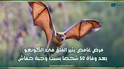 مرض غامض يثير القلق فى الكونغو بعد وفاة 50 شخصا بسبب وجبة خفاش