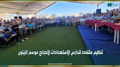 تنظيم ملتقى لتدارس الاستعدادات لإنجاح موسم الزيتون