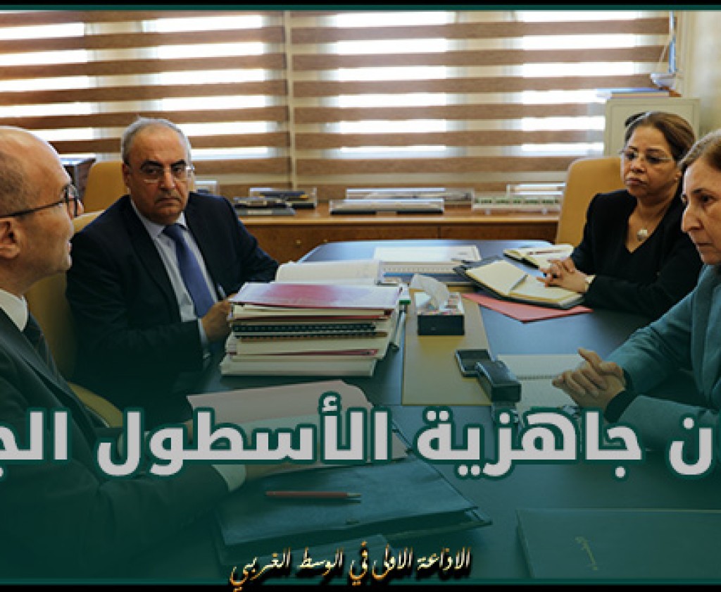 الزعفراني تدعو إلى ضمان جاهزية الأسطول الجوي استعدادا للموسم الصيفي 2024