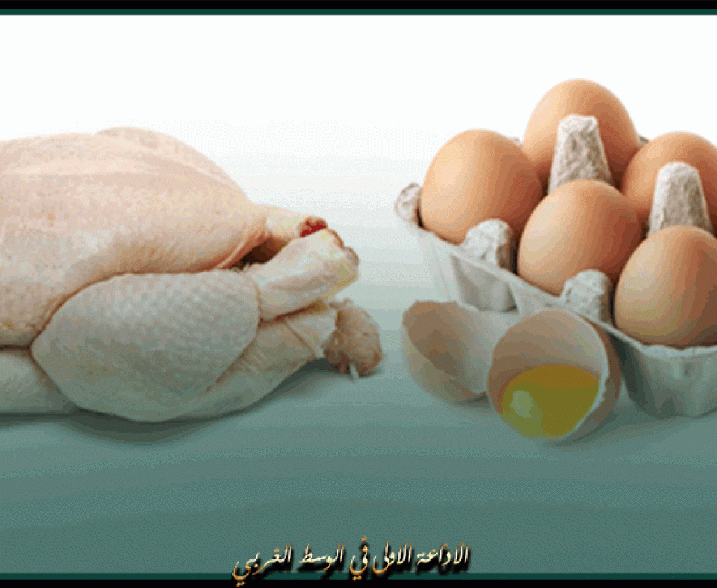 اتحاد الفلاحة يؤكد توفير مخزون استراجي من اللحوم البيضاء و البيض يغطي إستهلاك المواطنين خلال شهر رمضان