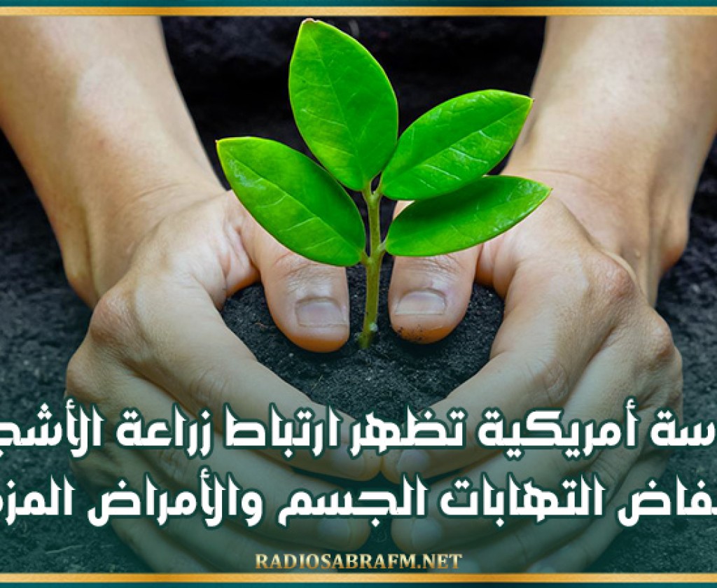 دراسة أمريكية تظهر ارتباط زراعة الأشجار بانخفاض التهابات الجسم والأمراض المزمنة