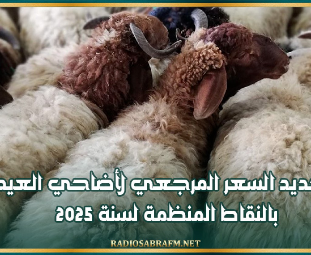 تحديد السعر المرجعي لأضاحي العيد بالنقاط المنظمة لسنة 2025