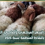 تحديد السعر المرجعي لأضاحي العيد بالنقاط المنظمة لسنة 2025