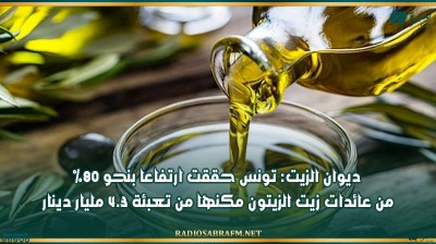ديوان الزيت: تونس حققت ارتفاعا بنحو 80% من عائدات زيت الزيتون مكنها من تعبئة 4.3 مليار دينار