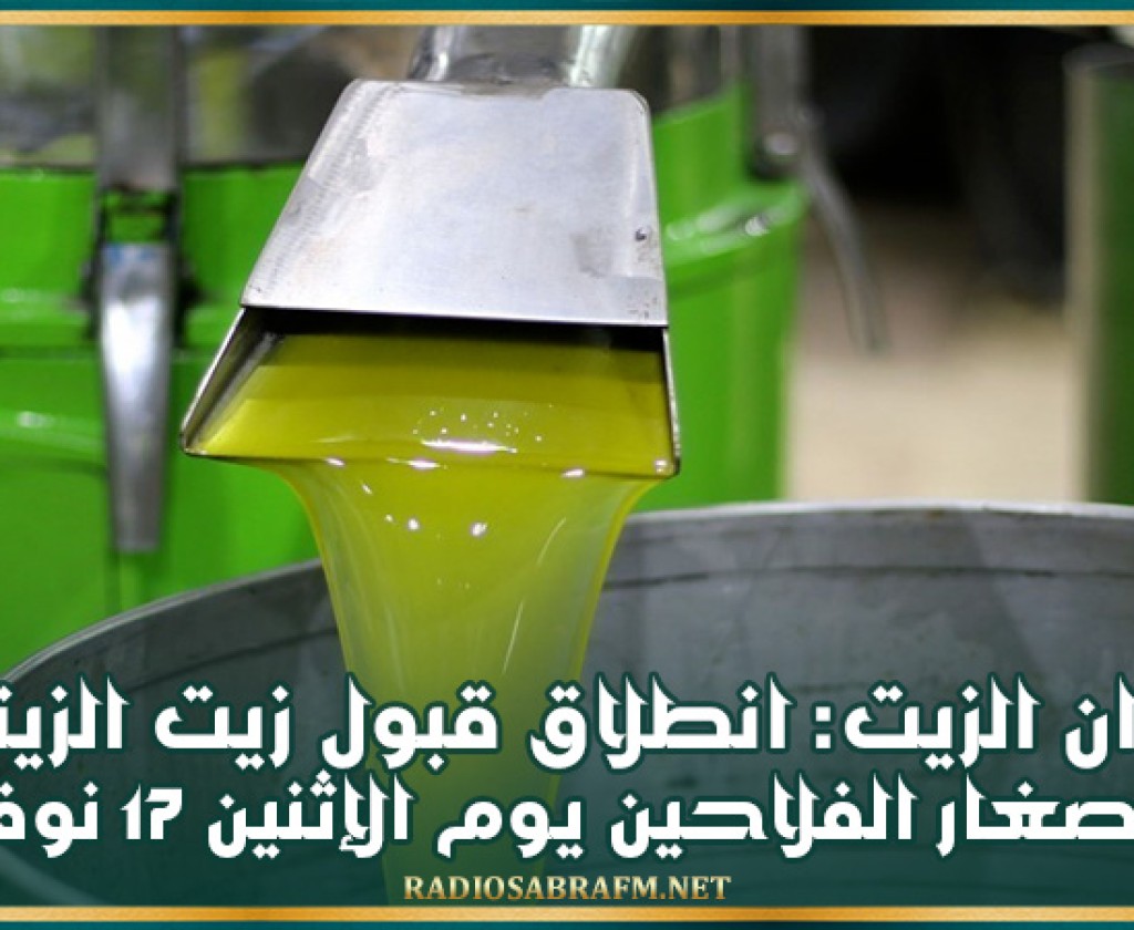 ديوان الزيت: انطلاق قبول زيت الزيتون من صغار الفلاحين يوم الإثنين 17 نوفمبر