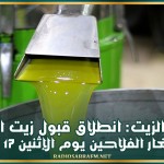 ديوان الزيت: انطلاق قبول زيت الزيتون من صغار الفلاحين يوم الإثنين 17 نوفمبر