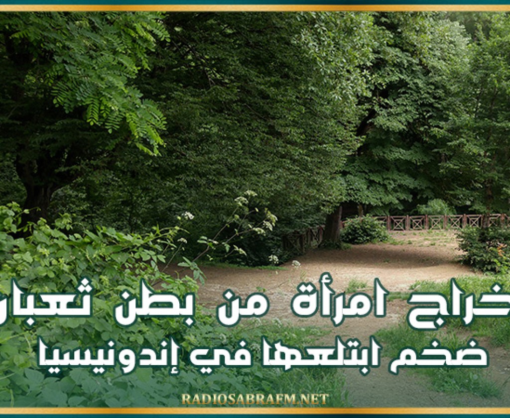 إخراج امرأة من بطن ثعبان ضخم ابتلعها في إندونيسيا