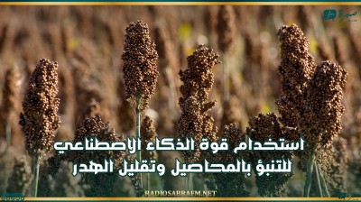استخدام قوة الذكاء الاصطناعي للتنبؤ بالمحاصيل وتقليل الهدر