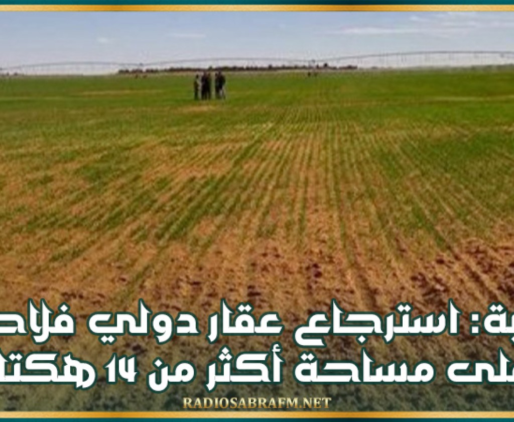 منوبة: استرجاع عقار دولي فلاحي على مساحة أكثر من 14 هكتارا