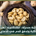 دراسة حديثة: 'الكاكاوية' تُعزّز الذاكرة وتدفّق الدم في الدماغ