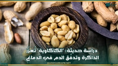 دراسة حديثة: 'الكاكاوية' تُعزّز الذاكرة وتدفّق الدم في الدماغ