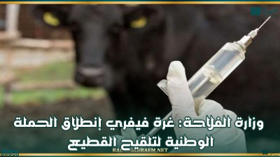 وزارة الفلاحة: غرة فيفري إنطلاق الحملة الوطنية لتلقيح القطيع