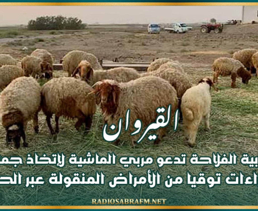 القيروان: مندوبية الفلاحة تدعو مربي الماشية لإتخاذ جملة من الإجراءات توقيا من الأمراض المنقولة عبر الحشرات