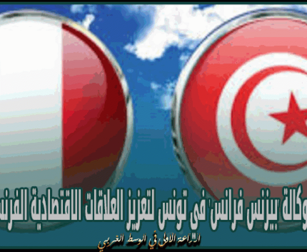المدير العام لوكالة 'بيزنس فرانس' في تونس لتعزيز العلاقات الاقتصادية الفرنسية التونسية
