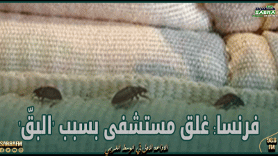 فرنسا: غلق مستشفى بسبب 'البقّ'