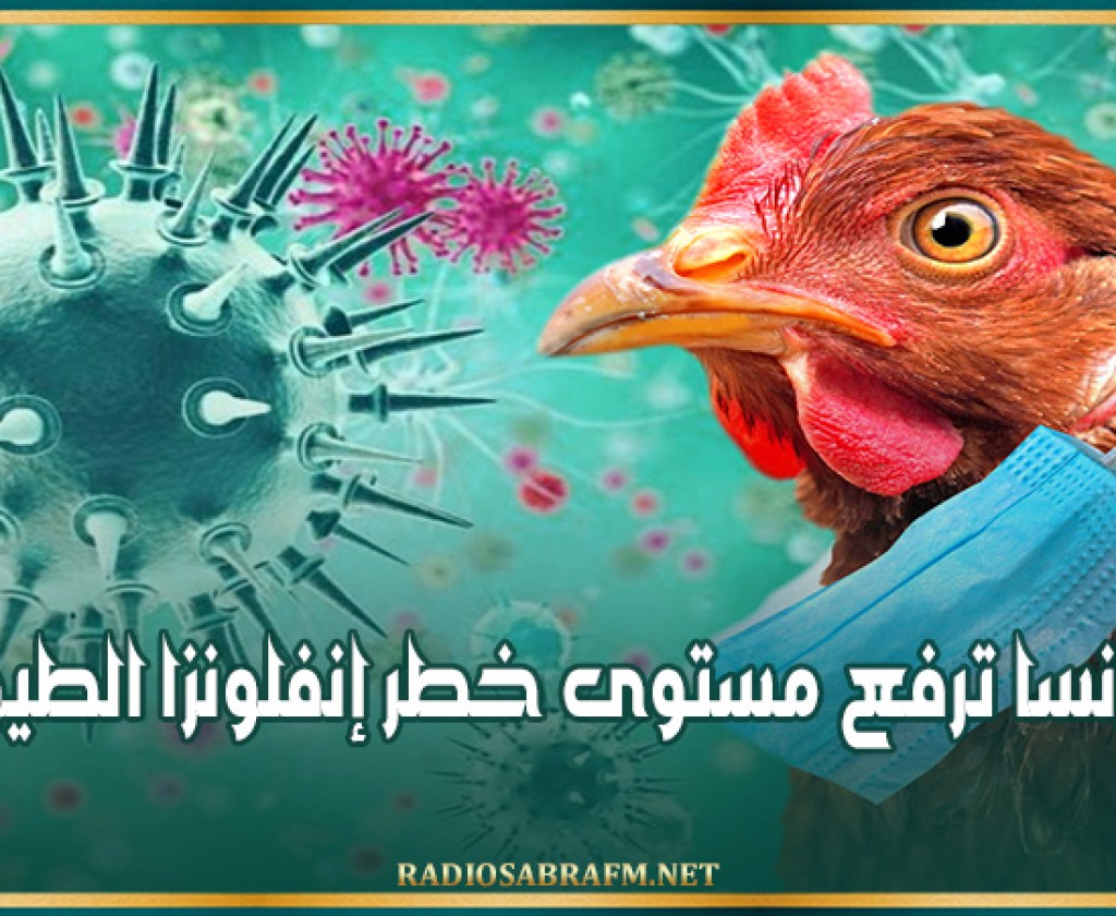 فرنسا ترفع مستوى خطر إنفلونزا الطيور