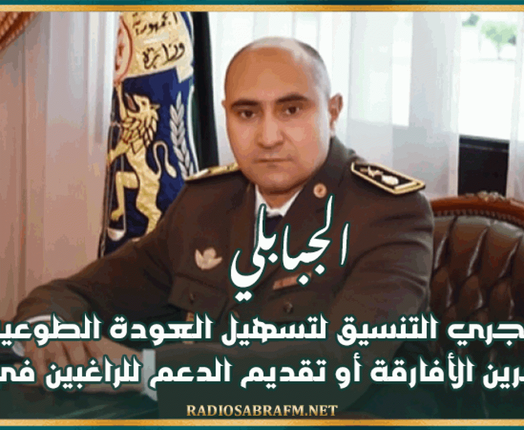 الجبابلي: يجري التنسيق لتسهيل العودة الطوعية للمهاجرين الأفارقة أو تقديم الدعم للراغبين في البقاء