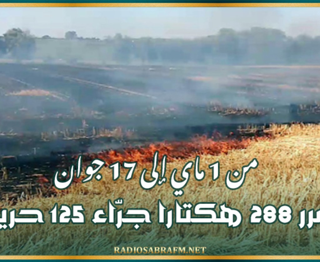 من 1 ماي إلى 17 جوان: تضرر 288 هكتارا جرّاء 125 حريقا