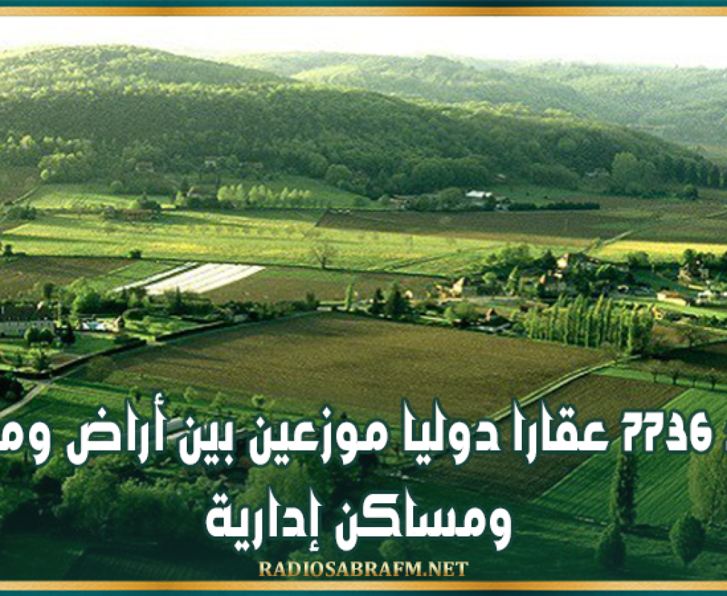 وزير أملاك الدولة: جرد 7736 عقارا دوليا موزعين بين أراض ومباني ومساكن إدارية