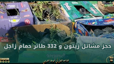 الحرس الديواني يحجز مشاتل زيتون و 332 طائر حمام زاجل خلال عمليتي تهريب