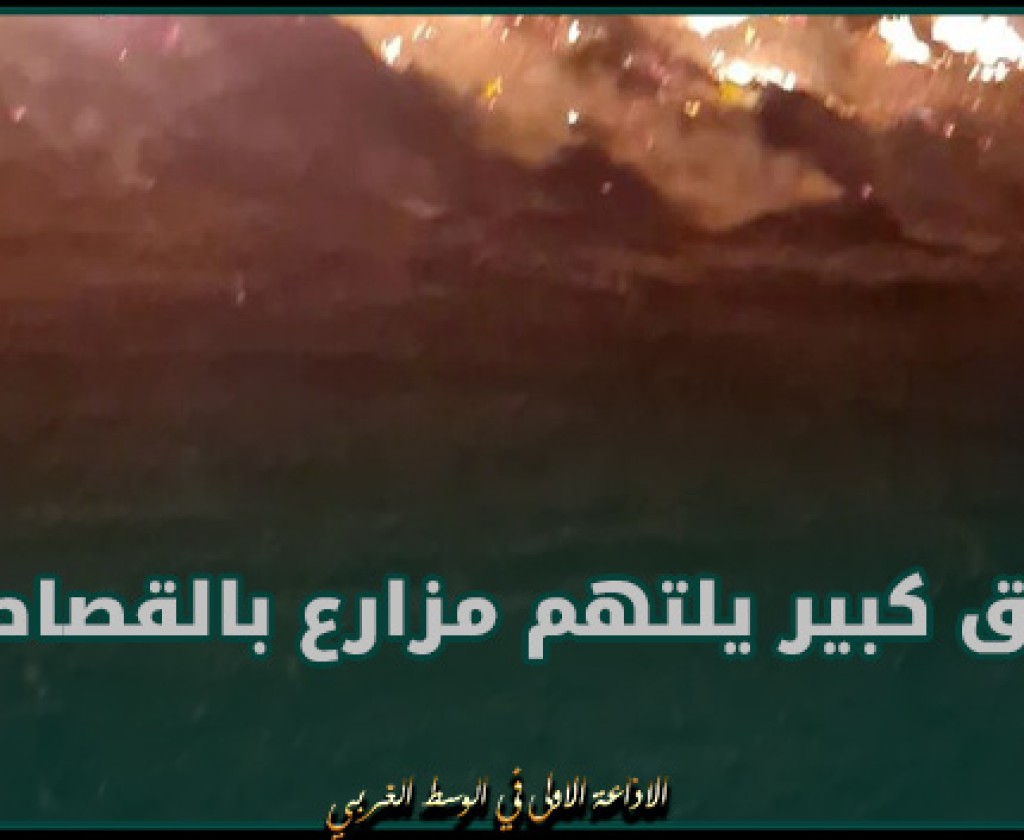 مصر.. حريق كبير يلتهم مزارع بالقصاصين في الإسماعيلية