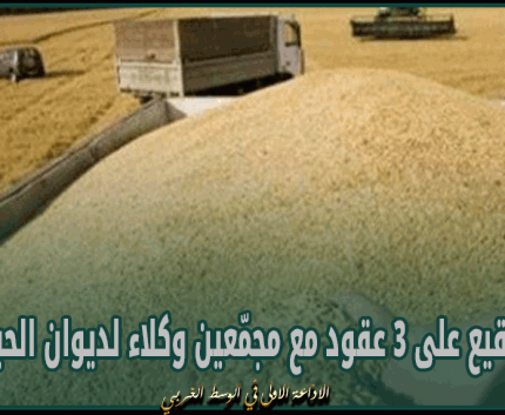 تونس - إيطاليا: التوقيع على 3 عقود مع مجمّعين وكلاء لديوان الحبوب