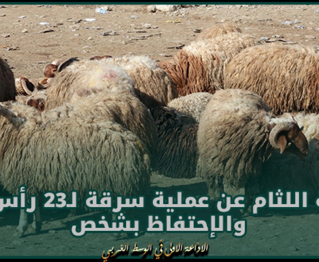 حفوز: إماطة اللثام عن عملية سرقة لـ23 رأس غنم والإحتفاظ بشخص