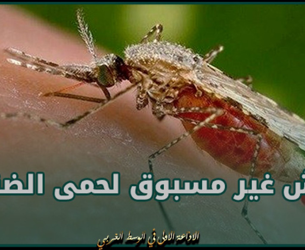 الصحة العالمية: تحذر من تفش غير مسبوق لحمى الضنك في أمريكا اللاتينية والكاريبي العام الحالي