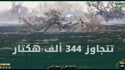 مساحة حرائق تكساس تتجاوز 344 ألف هكتار