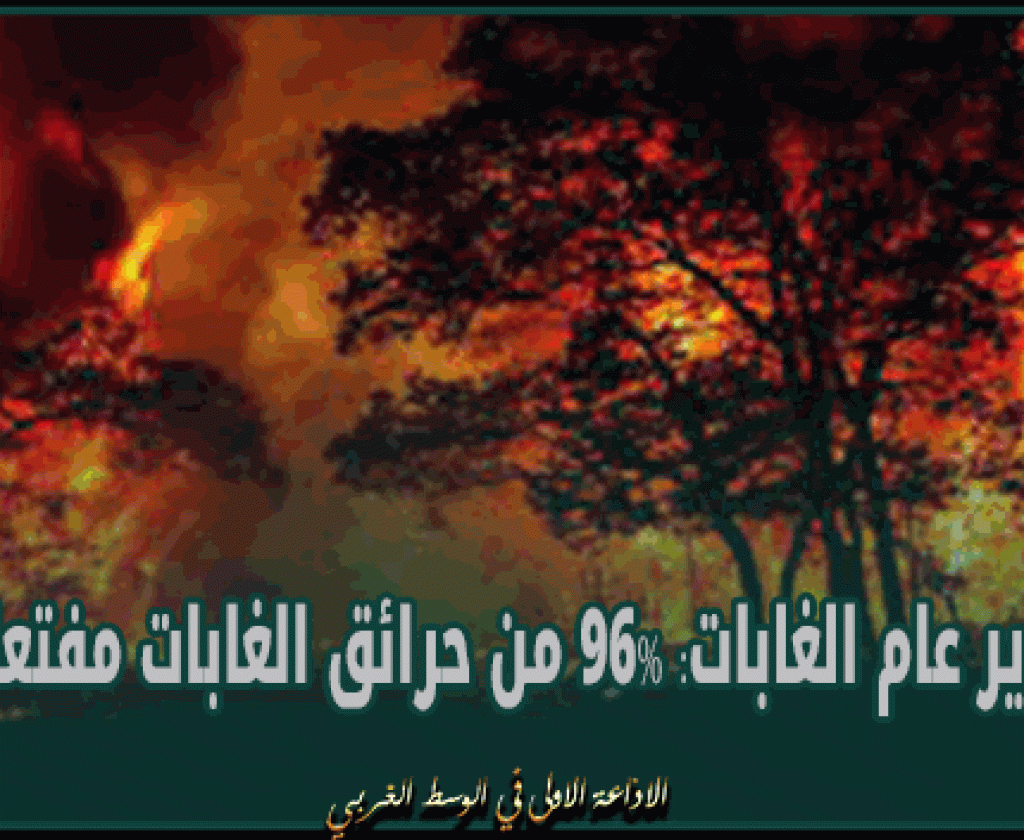 مدير عام الغابات: 96% من حرائق الغابات مفتعلة