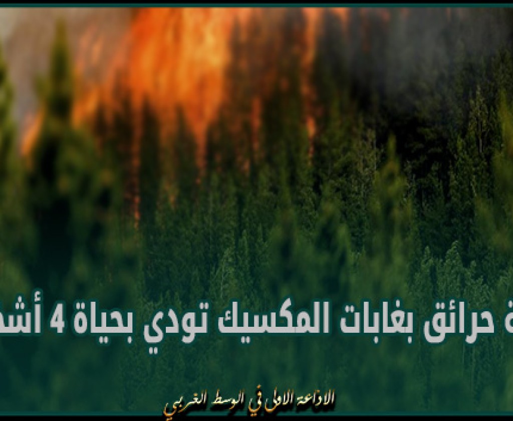 موجة حرائق بغابات المكسيك تودي بحياة 4 أشخاص