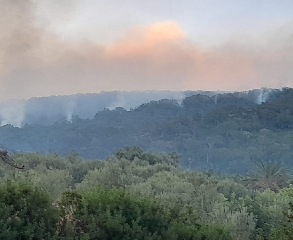 عين دراهم: حريق في أشجار وأسيجة شوكية محيطة بعدد من المنازل