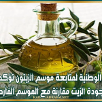 اللجنة الوطنية لمتابعة موسم الزيتون تؤكد تحسن جودة الزيت مقارنة مع الموسم الفارط