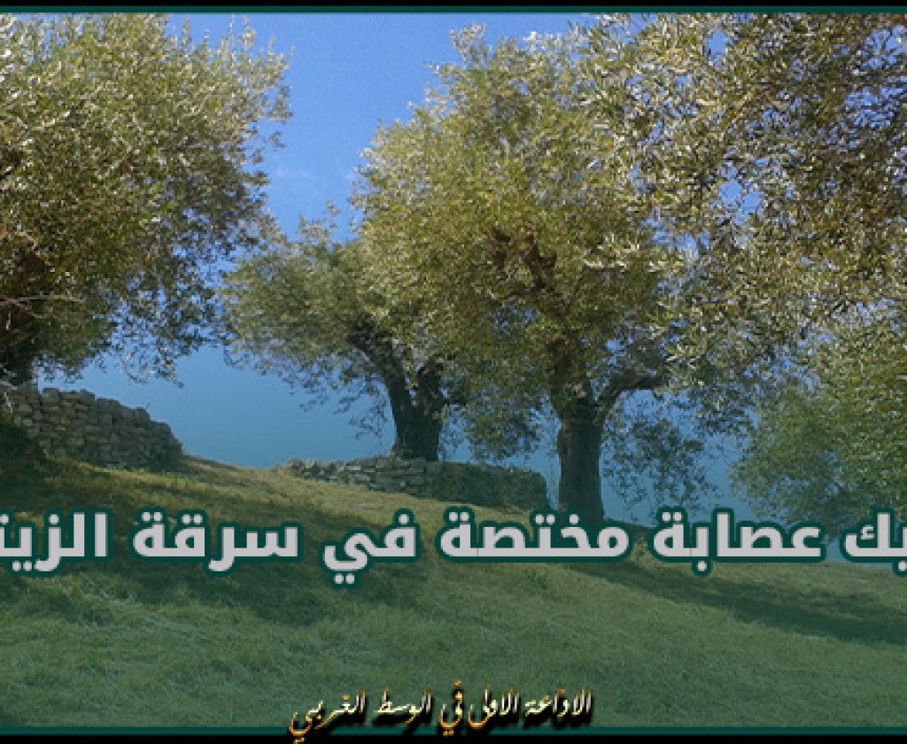 حفوز.. تفكيك عصابة مختصة في سرقة الزيتون