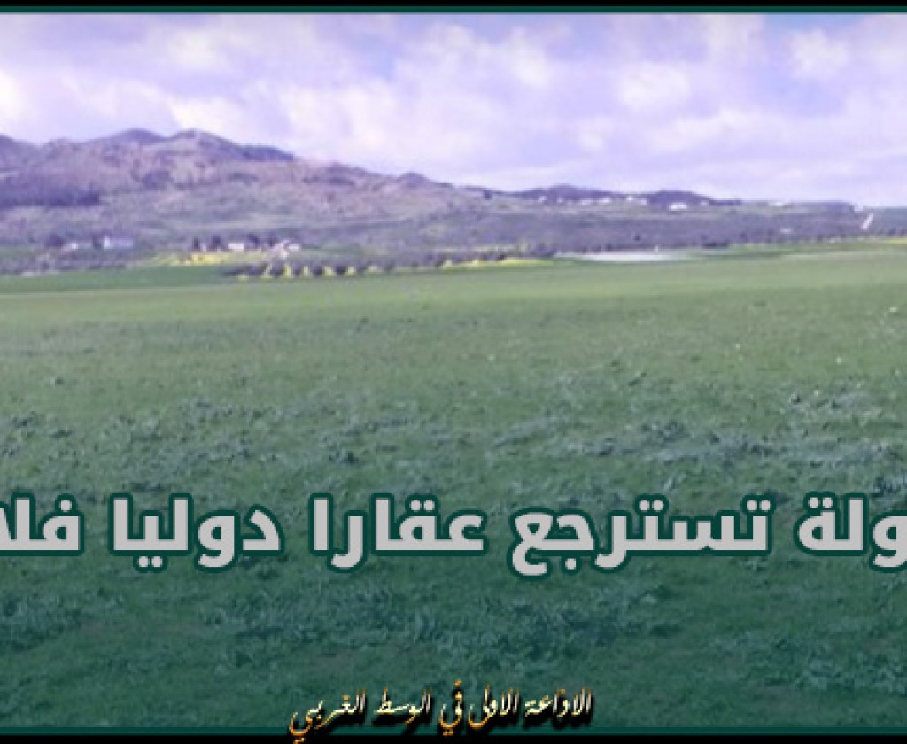الكاف: الدّولة تسترجع عقارا دوليا فلاحيا بمساحة 15 هك