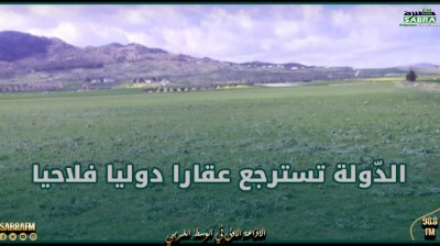 الكاف: الدّولة تسترجع عقارا دوليا فلاحيا بمساحة 15 هك