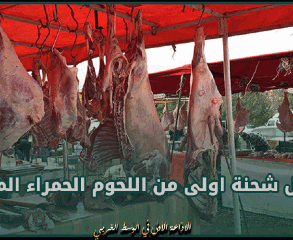 اليوم.. وصول شحنة اولى من اللحوم الحمراء الموردة