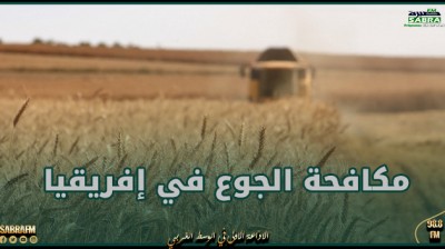 مسؤول في منظمة "الفاو": مساعدات روسيا من الحبوب ساهمت بمكافحة الجوع في إفريقيا